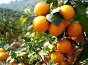 �����~��ȡ��