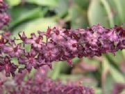 ������ߞ�����