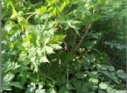 ���w��ȡ��