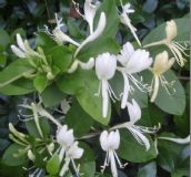 ���y����ȡ��