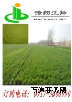 ������ȡ��