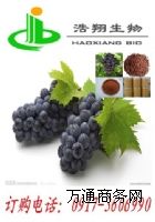 ������ԭ������