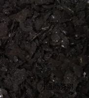 �B�T���V�C