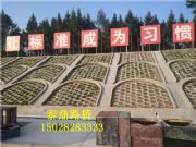 �A�ƹ����o��ģ����Ʒչʾ/�A�ƹ����o��ģ�����a��ˇ