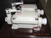 ��������˼blx51ϵ�з����г��_(k��i)�P(gu��n)