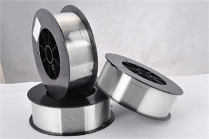 er4043�X��Ͻ𺸽z�S