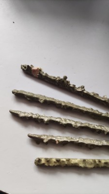 ֱ�NYD��Ӳ�|�Ͻ𺸗l �@�^�ЬĥЬ�Ѻ��⺸�l