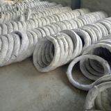 �S��ֱ�N������\�S�F�� ����\�S�F�� ����\�F�z ������