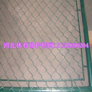 �����w�����o�ھW(w��ng)ɽ�|�����F�z�W(w��ng)���f�و��������W(w��ng)