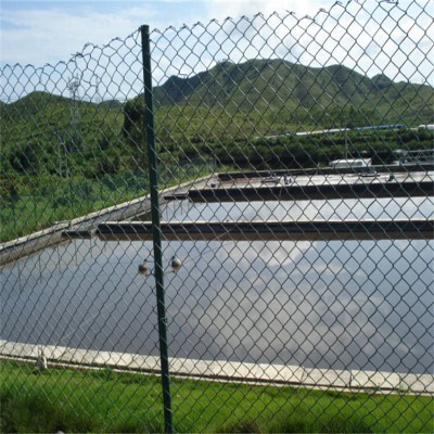 河北煤礦編織菱形網(wǎng)廠家遼陽體育場(chǎng)包塑勾花盤錦鍍鋅養(yǎng)殖鐵絲網(wǎng)