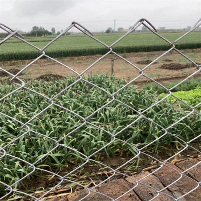 �ӱ�ú�V�������ξW(w��ng)��ľ˹��\���ι����W(w��ng)���_(t��i)����������o(h��)�ھW(w��ng)