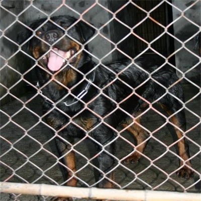 �ӱ��V�������^�W(w��ng)�S�ҹ���(y��ng)�Ϻ���\���ξ����W(w��ng)�ؑcú�V�������ξW(w��ng)