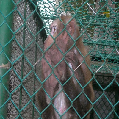 �ӱ�ú�V֧�o�W�S�ҹ������u�@����o�ھW�Ͳ�������ڸ��x�W