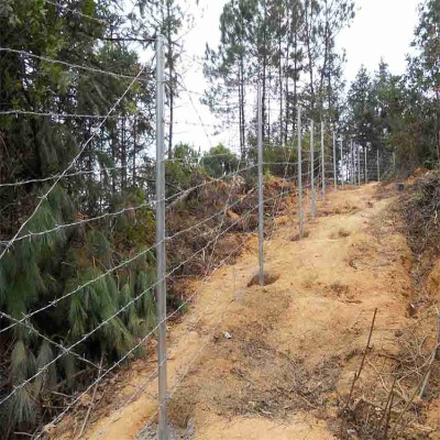 �������ٹ�·�����F�z�W���ٹ�·䓽z�W���ٹ�·���F�z