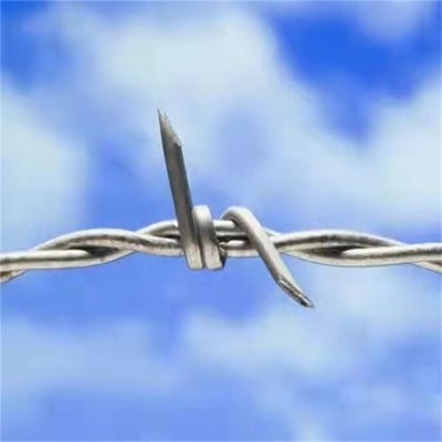 pe包塑絲防盜圍墻網(wǎng)圍墻刺鐵絲鋼絲刺繩刺線