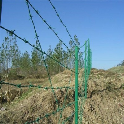 ��̼䓽z���ܴ��K�F��޼���K���@���o�����F�z