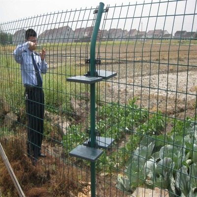 �������ٷ��o�WС�^���ھW���͇��ھW