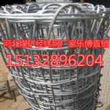 ����ú�V֧�o(h��)�W(w��ng)�y���V�ý�(j��ng)���W(w��ng)�S��ֱ�N