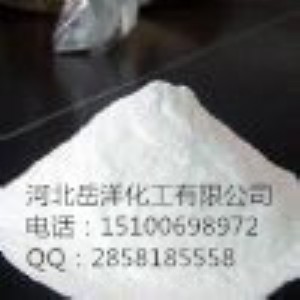 ����偠t���w�蹸��