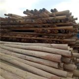 ������������ľ�U��ը�U�ܿչ��|�������ľ�U ͨӍ��ľ�U