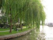 ���N������������ۣ��Ĵ��ѻ�