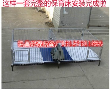 �S��ֱ�N�i���O��������i������