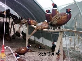 2014��ɽ�u���r��Ϣ