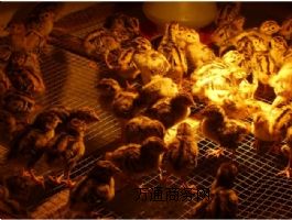 �ӱ�ɽ�u�磬ɽ�u�N��r��