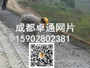 �ṩ����(l��)ɽ�����W(w��ng)Ƭ���ӹ����ƏS��