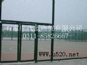 �w�������W(�D)