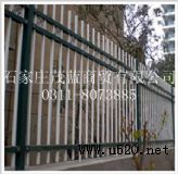 ����o�ھW(w��ng)(�D)