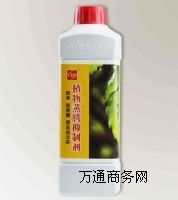 ˮ�����v���Ƅ�|�����v|�����v|ֲ�����v����369��