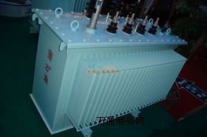 10kv�ȼ�   S11ϵ�����׃�����N��