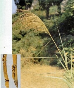 �n�g��ȡ��n�g��s�w�����n�g��s��