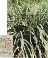 ������ȡ�������s�ۣ�������s�w��