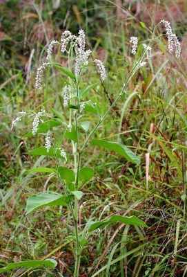 ˮ�t����,ˮ���࣬�ĉK�f�����~��