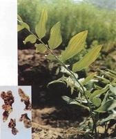 �S����ȡ��S�����ǣ��S����s�w��