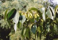 ������ȡ����ٽ���ۣ����ٝ�s�w��