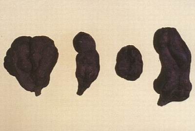 ���מ���ȡ����מ���s�w�������מ���s��