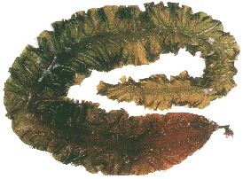 ������ȡ�������s�w����������s��