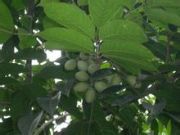 �㙴��ȡ��㙴��s�w�����㙴��s��