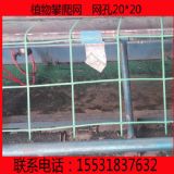 Ȧ���׾W ���χ��ھW Ȧ�������ϾW