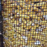 ����(y��ng)Ȧ�����ϾW(w��ng) �B(y��ng)ֳ��ȸ�u�����χ��ھW(w��ng)