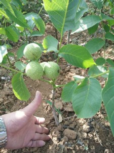 �޽Ӻ����� �޽Ӻ��������