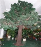 �����ɘ�S�Ҷ��ƃr��