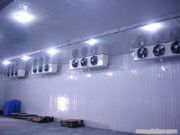 ����(y��ng)���I(y��)���b���   �N�����  �Ƶ����