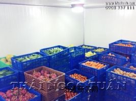 ������������죬�Ϸ�ʢѩ���