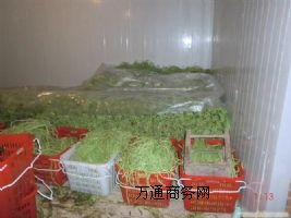 ����������죬ʳƷ�ك��� ����������������O�䰲�b����