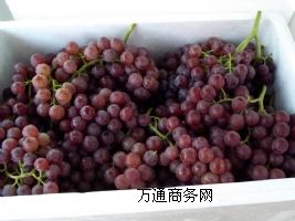 �Ϸ�������찲�b    ���r���