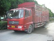 ���S������˾��h���V�݌���(�D)